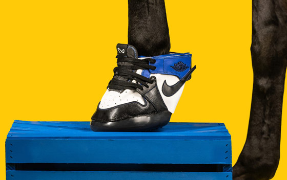 مقابل 1200 دولار فقط.. يمكنكم شراء حذاء رياضي لحصانكم! صور صورة رقم 6