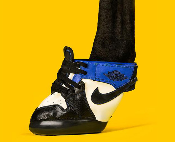 مقابل 1200 دولار فقط.. يمكنكم شراء حذاء رياضي لحصانكم! صور صورة رقم 8