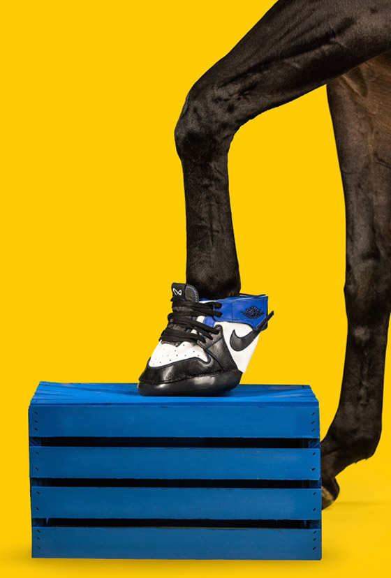 مقابل 1200 دولار فقط.. يمكنكم شراء حذاء رياضي لحصانكم! صور صورة رقم 9