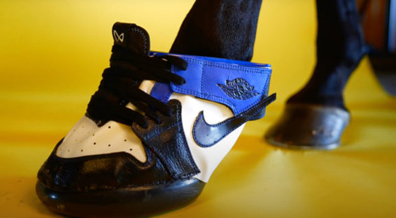 مقابل 1200 دولار فقط.. يمكنكم شراء حذاء رياضي لحصانكم! صور صورة رقم 10