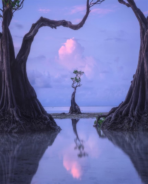 تبدو من كوكب آخر.. هل شاهدت 