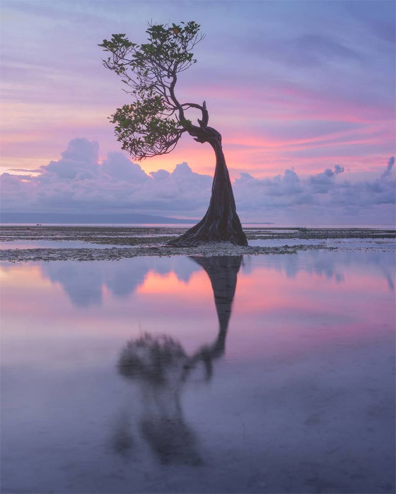 تبدو من كوكب آخر.. هل شاهدت 