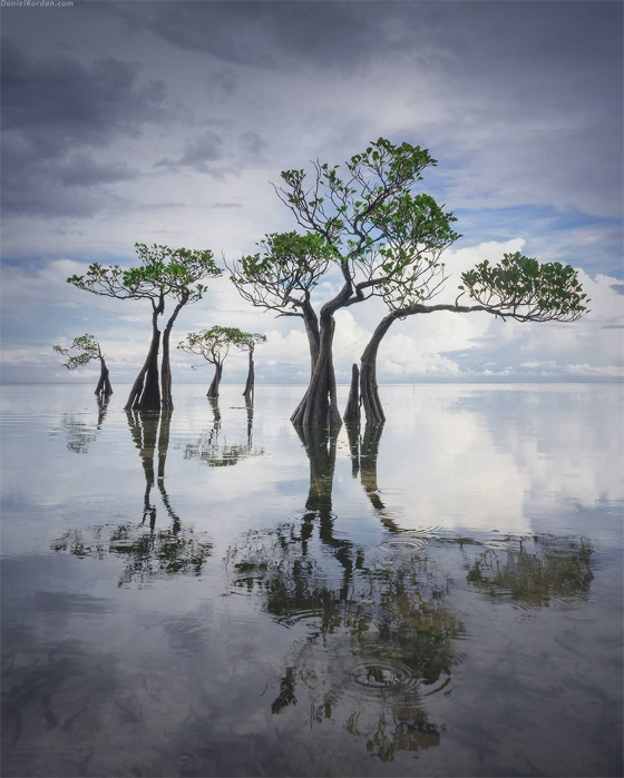 تبدو من كوكب آخر.. هل شاهدت 