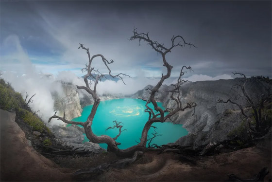 تبدو من كوكب آخر.. هل شاهدت 