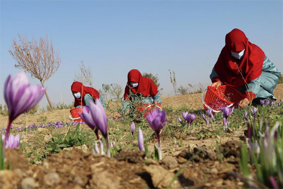 أبرز صور الأسبوع: إليكم أهم الأحداث المصورة من مختلف أنحاء العالم صورة رقم 15 أبرز صور الأسبوع: إليكم أهم الأحداث المصورة من مختلف أنحاء العالم صورة رقم 15