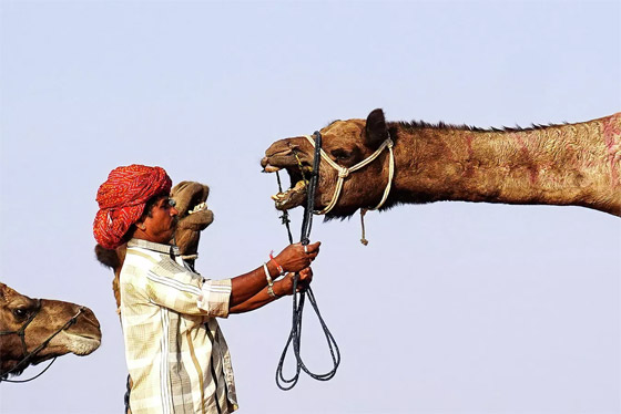 أبرز صور الأسبوع: إليكم أهم الأحداث المصورة من مختلف أنحاء العالم صورة رقم 23 أبرز صور الأسبوع: إليكم أهم الأحداث المصورة من مختلف أنحاء العالم صورة رقم 23
