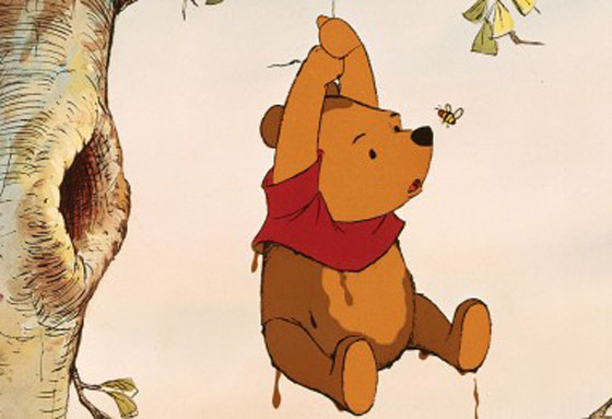 هل تنجذب الدببة إلى تناول العسل حقًا أم أنها مجرد خرافة؟ صورة رقم 1