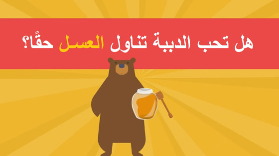 هل تنجذب الدببة إلى تناول العسل حقًا أم أنها مجرد خرافة؟ صورة رقم 4