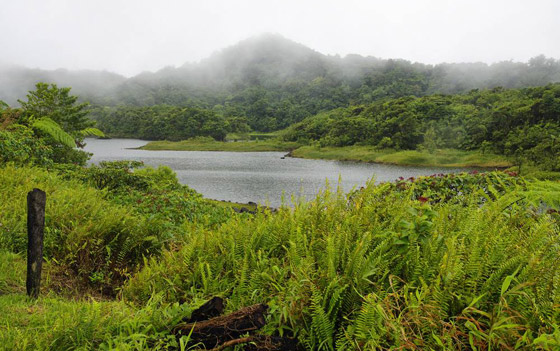 بالصور: أشهر الأماكن الجديرة بالزيارة في دومينيكا بالبحر الكاريبي صورة رقم 1