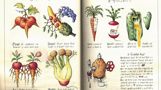 8 كتب غامضة لم يستطع أحد قراءتها على الإطلاق! صورة رقم 2