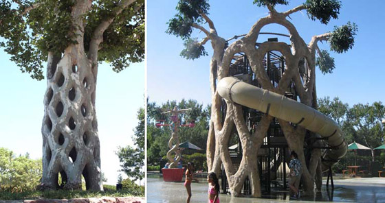 من أغرب أشكال الأشجار في الطبيعة! صورة رقم 8