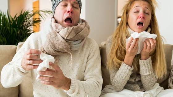 أهم خصائص وفوائد الثوم العلاجية صورة رقم 6