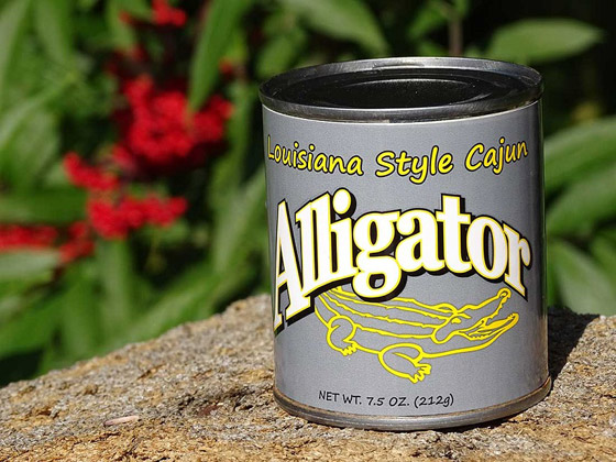 من أغرب الأطعمة المعلبة الشائعة في بعض البلدان! صورة رقم 2