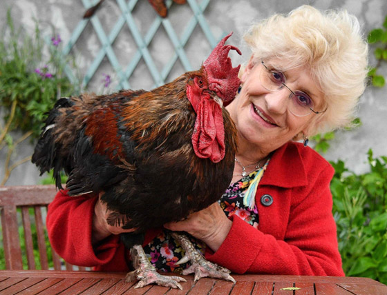 أبرز المتهمين: ديك وتمثال وجثة! إليكم أغرب 5 محاكمات عبر التاريخ صورة رقم 2 أبرز المتهمين: ديك وتمثال وجثة! إليكم أغرب 5 محاكمات عبر التاريخ صورة رقم 2