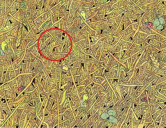 لديك عيون صقر إذا اكتشفت الإبرة في كومة القش بـ9 ثوان! صورة رقم 2