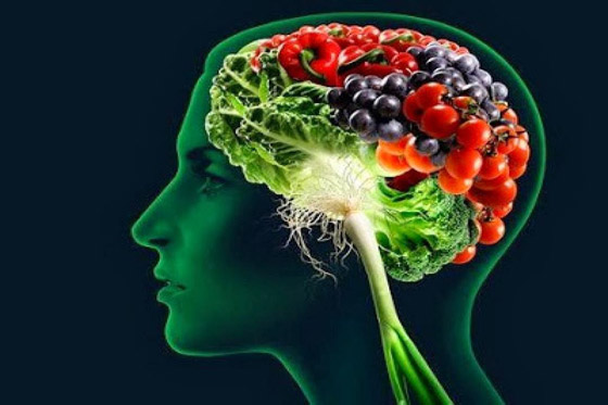 أطعمة الفلافونول تبطئ تدهور الذاكرة صورة رقم 3