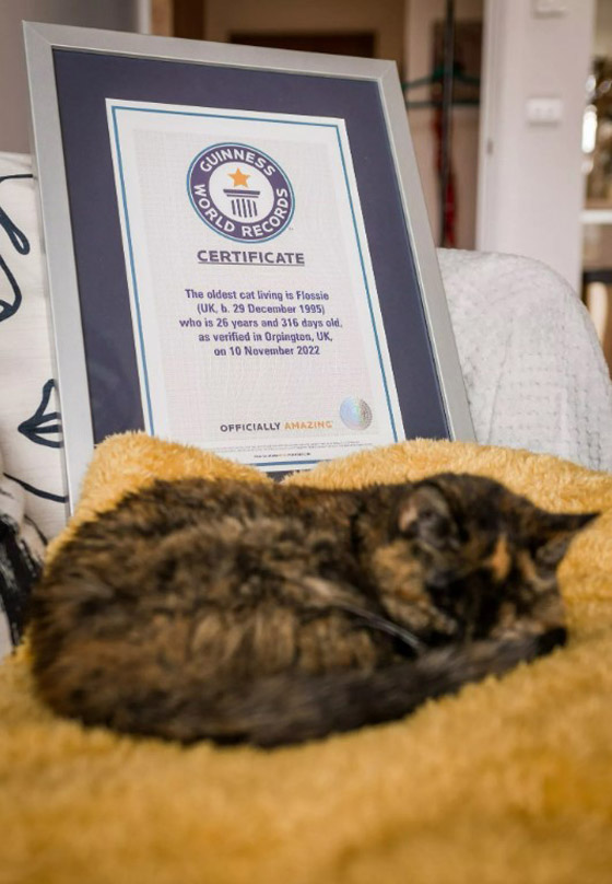 عمرها 27 عاماً.. تتويح 