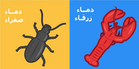 5 حيوانات تمتلك دماء ذات ألوان غريبة! صورة رقم 1