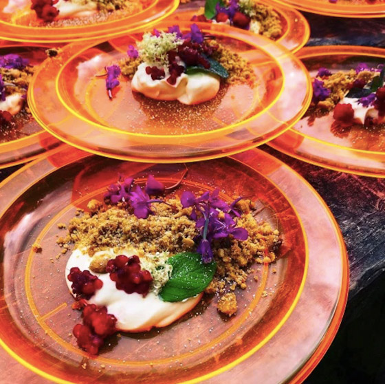 عائلة تخفض نفقات الطعام إلى 6 دولارات شهرياً بطريقة مذهلة صورة رقم 3