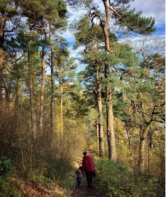 عائلة تخفض نفقات الطعام إلى 6 دولارات شهرياً بطريقة مذهلة صورة رقم 4