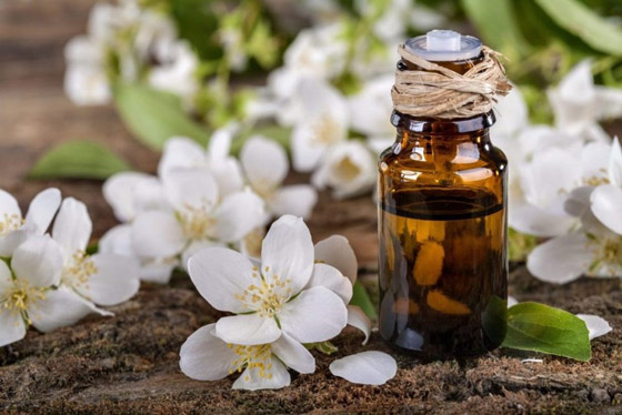 ما الفرق بين العطور الاصطناعية والطبيعية؟ صورة رقم 4