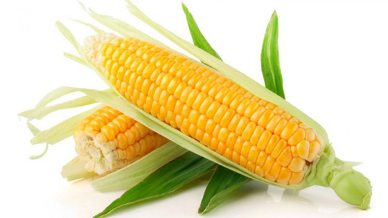 أغرب معلومات عن الذرة: استخدمت كبديل للقهوة وتدخل في صناعة الورق صورة رقم 6