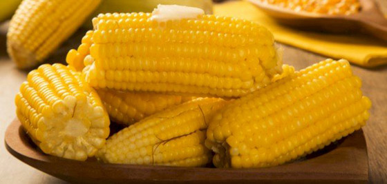 أغرب معلومات عن الذرة: استخدمت كبديل للقهوة وتدخل في صناعة الورق صورة رقم 7