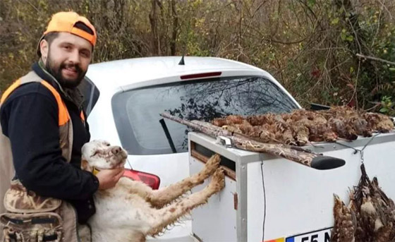 حادثة مأساوية: كلب يطلق النار على صاحبه فيرديه قتيلا! صورة رقم 5 حادثة مأساوية: كلب يطلق النار على صاحبه فيرديه قتيلا! صورة رقم 5