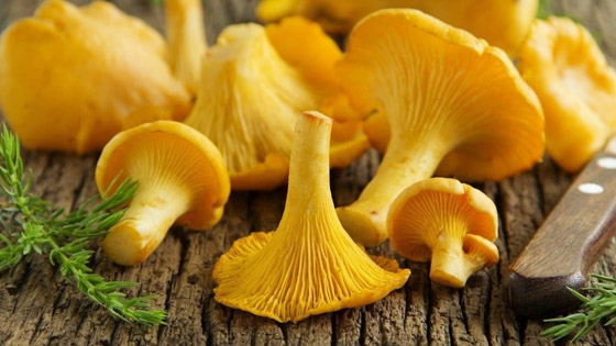 من المعكرونة إلى الفطائر.. 5 طرق لاستخدام فطر 