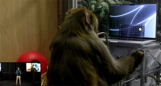 إيلون ماسك: بدء زرع رقاقة لاسلكية بدماغ الإنسان خلال 6 أشهر صورة رقم 9