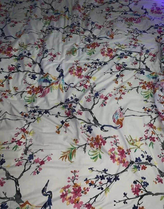 أين النظارات الطبية؟ فقط 10% عثروا عليها خلال 11 ثانية! صورة رقم 1