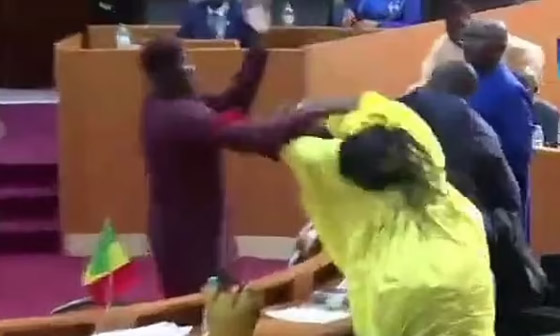 فيديو: نائب سنغالي يصفع زميلته على وجهها.. وتحولت لعراك بالأيدي بالبرلمان صورة رقم 3 فيديو: نائب سنغالي يصفع زميلته على وجهها.. وتحولت لعراك بالأيدي بالبرلمان صورة رقم 3