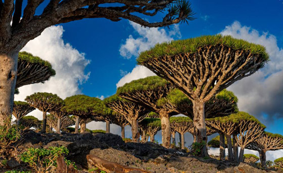 لمحبي الإثارة.. إليكم أماكن سياحية طبيعية.. عالم من السحر والخيال صورة رقم 1