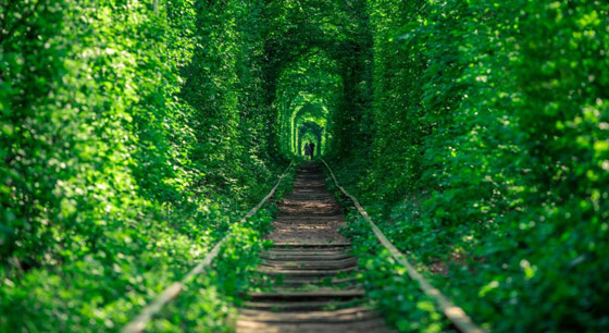 لمحبي الإثارة.. إليكم أماكن سياحية طبيعية.. عالم من السحر والخيال صورة رقم 4