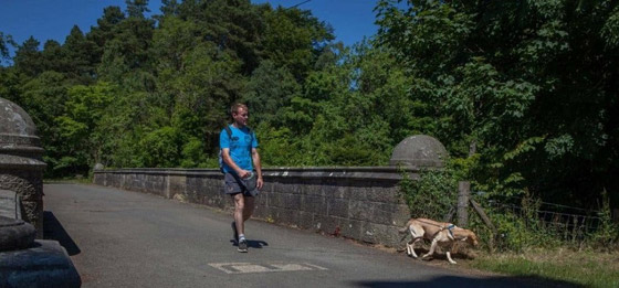 جسر أوفرتون ،، لغز الجسر الذي أصاب الكلاب بالجنون ودفعهم للانتحار! صورة رقم 8