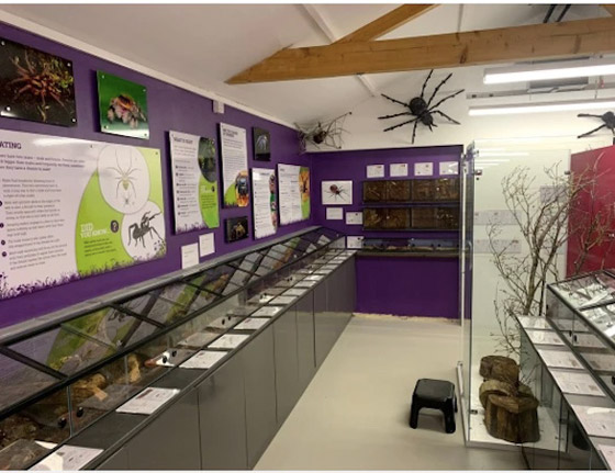 يفتتح حديقة حيوان للحشرات على مدى 20 عاماً صورة رقم 4