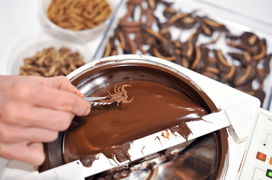 بالنمل والشطة الحريفة! أغرب نكهات الشوكولاتة التي لن ترغب بتجربتها! صورة رقم 9