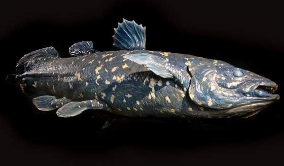 بينها سلحفاة عملاقة.. حيوانات تظهر من جديد بعد أن كادت تنقرض صورة رقم 3