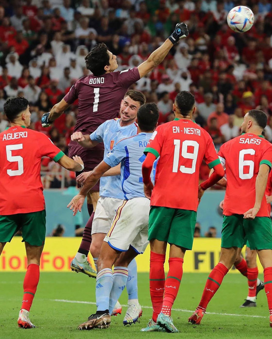 رافعين علم فلسطين.. لاعبو المغرب يحتفلون بتأهلهم لربع نهائي مونديال قطر (فيديو) صورة رقم 12 رافعين علم فلسطين.. لاعبو المغرب يحتفلون بتأهلهم لربع نهائي مونديال قطر (فيديو) صورة رقم 12