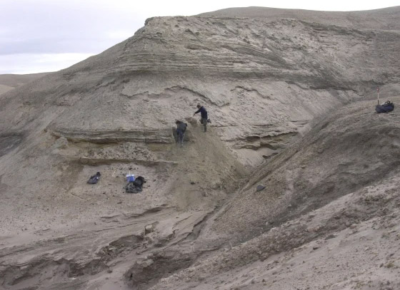 أقدم حمض نووي يكشف مفاجآت عالم غرينلاند المفقود صورة رقم 5