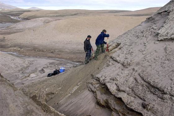 أقدم حمض نووي يكشف مفاجآت عالم غرينلاند المفقود صورة رقم 6