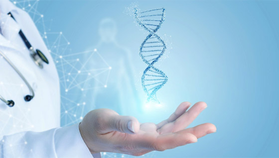 احتمالية الموت الإعلى هي 11 صباحا.. قصة الجين الذي يتنبأ بساعة الوفاة صورة رقم 1