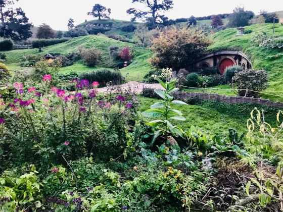 بـ10 دولارات فقط.. فرصة النوم في منزل الهوبيت من فيلم 