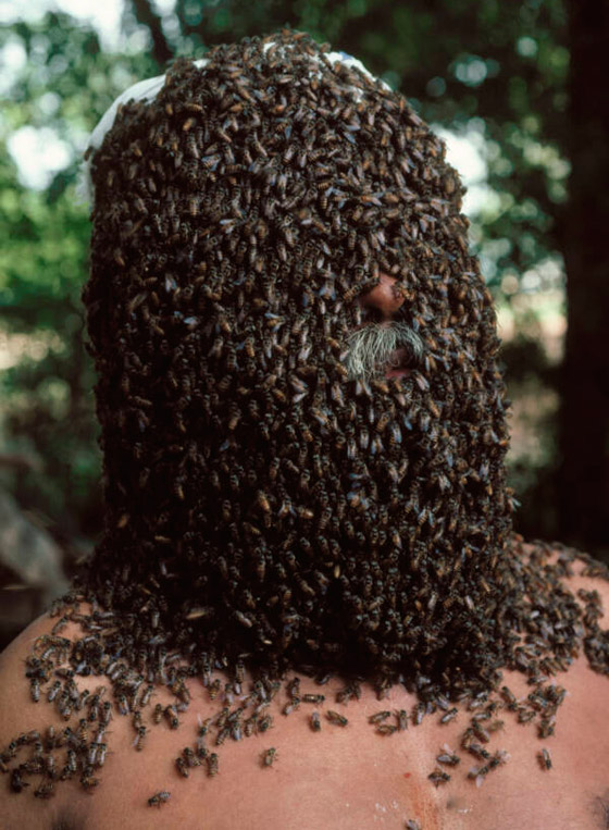 سرب من النحل يطيح برجل إفريقي.. حاول التحدث إليهم فهجموا عليه وقتلوه صورة رقم 2 سرب من النحل يطيح برجل إفريقي.. حاول التحدث إليهم فهجموا عليه وقتلوه صورة رقم 2