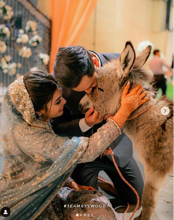 يوتيوبر باكستاني يُهدي عروسه حماراً بحفل الزفاف.. لهذا السبب صورة رقم 2