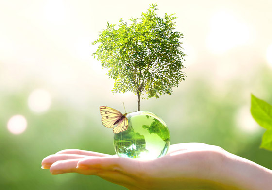 التمويل والتكيف.. قضايا بارزة تنتظر الحسم في قمة التمويل والتكيف.. قضايا بارزة تنتظر الحسم في قمة