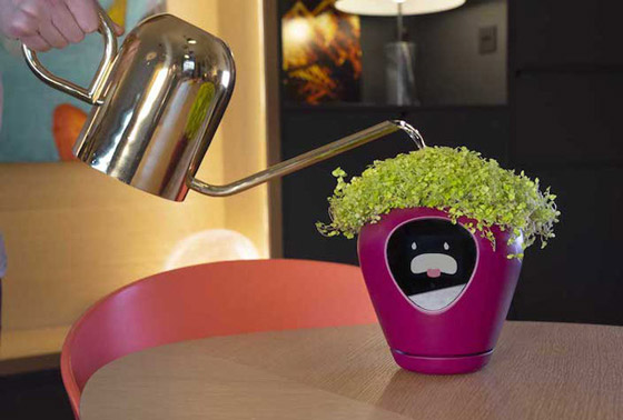 ابتكار أصائص زرع ذكية تحول النبات لكائن يُعبر عن احتياجاته! صور صورة رقم 3 ابتكار أصائص زرع ذكية تحول النبات لكائن يُعبر عن احتياجاته! صور صورة رقم 3