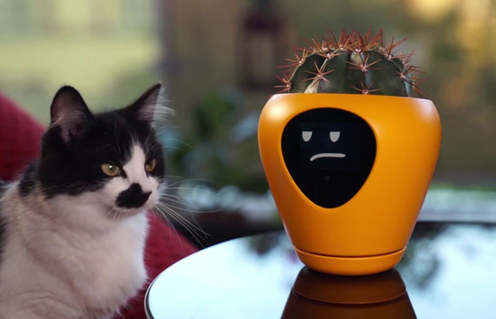 ابتكار أصائص زرع ذكية تحول النبات لكائن يُعبر عن احتياجاته! صور صورة رقم 4 ابتكار أصائص زرع ذكية تحول النبات لكائن يُعبر عن احتياجاته! صور صورة رقم 4