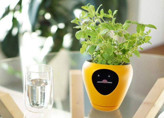 ابتكار أصائص زرع ذكية تحول النبات لكائن يُعبر عن احتياجاته! صور صورة رقم 5 ابتكار أصائص زرع ذكية تحول النبات لكائن يُعبر عن احتياجاته! صور صورة رقم 5