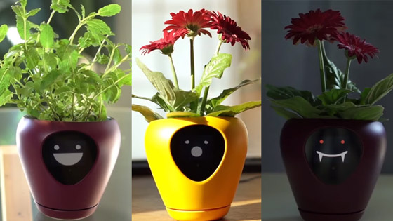 ابتكار أصائص زرع ذكية تحول النبات لكائن يُعبر عن احتياجاته! صور صورة رقم 6 ابتكار أصائص زرع ذكية تحول النبات لكائن يُعبر عن احتياجاته! صور صورة رقم 6